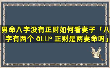 男命八字没有正财如何看妻子「八字有两个 🌺 正财是两妻命吗」